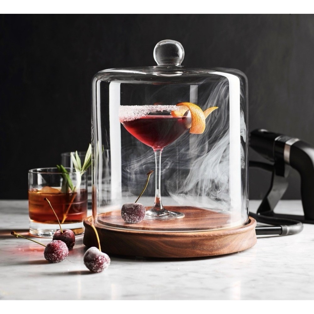 NEW Crafthouse by Fortessa Individual Cocktail Smoking Cloche Williams Sonoma
